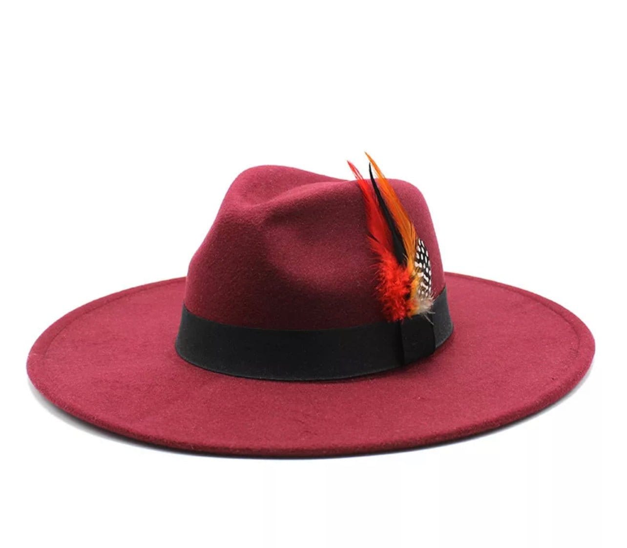 Wide Brim feathered Fedora - Accessorizmee