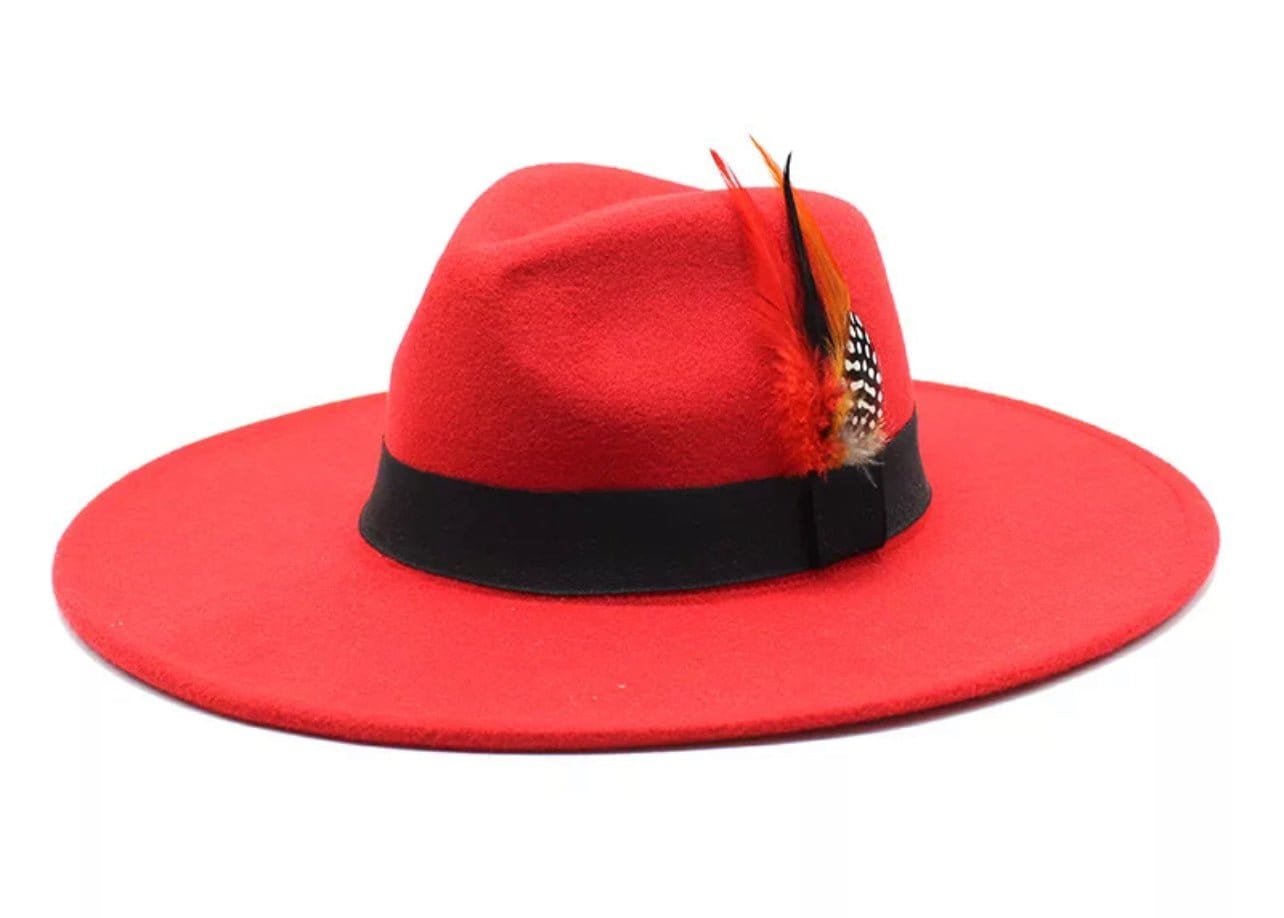 Wide Brim feathered Fedora - Accessorizmee